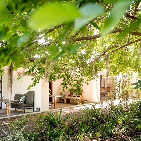 Francines Venue Pty Ltd Bed and Breakfast Hoedspruit Buitenkant foto