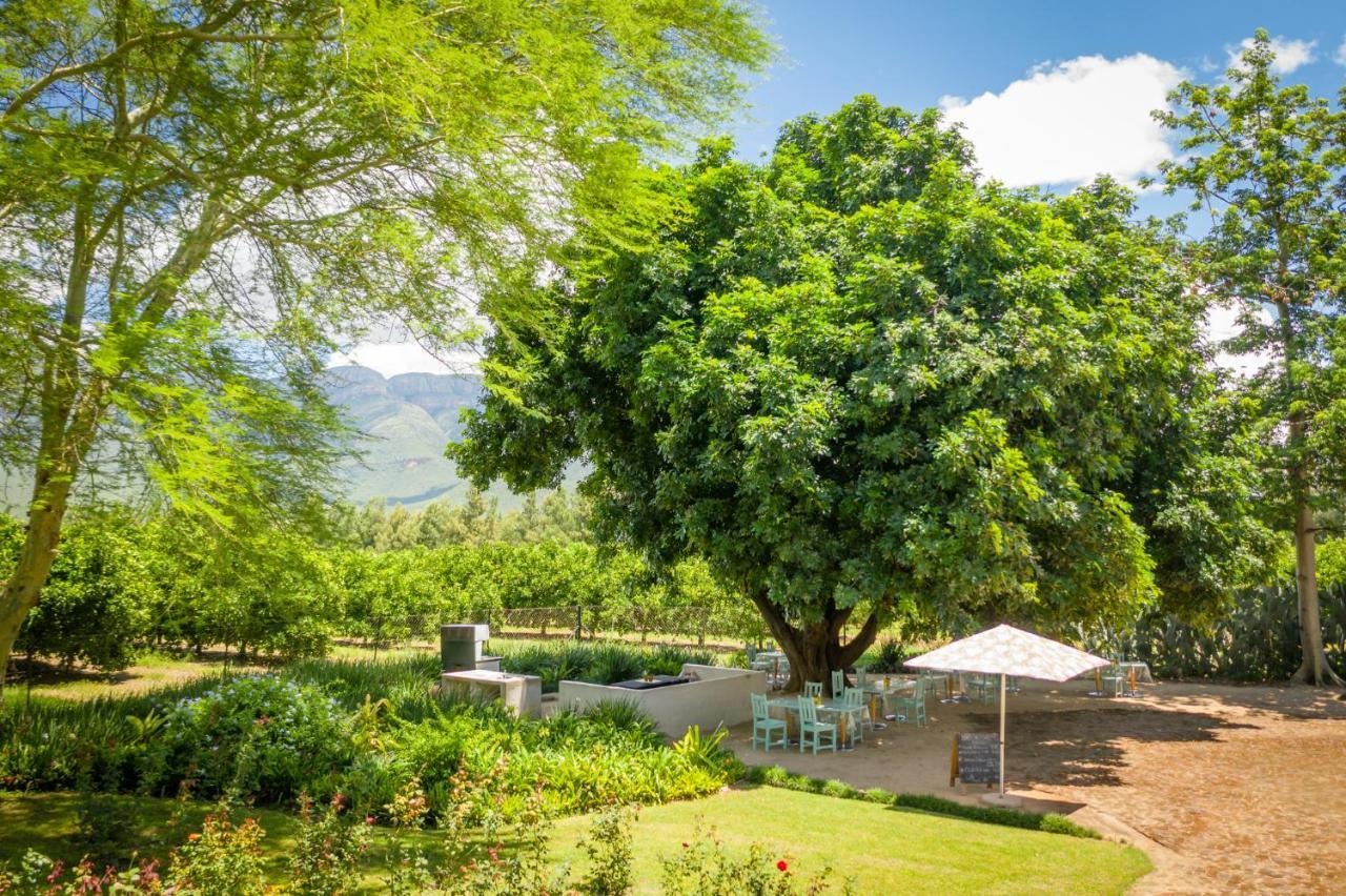 Francines Venue Pty Ltd Bed and Breakfast Hoedspruit Buitenkant foto